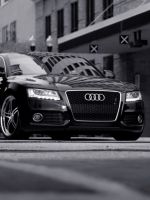 Audi (black)