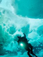 Diver