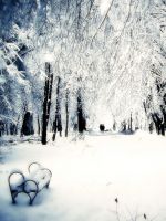 Snowy Park