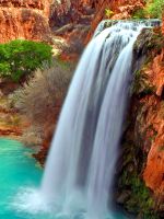 Arizona Waterf...