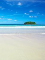 Lone Island