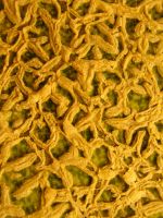 Yellow Mesh