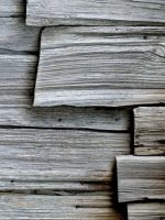 Gray Wood