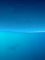 Endless Blue
