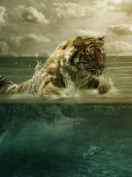 Swimming Tiger