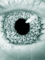 The Eye of Fut...