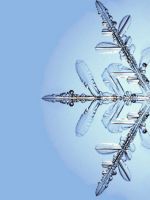 Snowflake