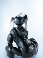 Robot Dog
