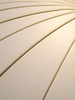 Curve Streak