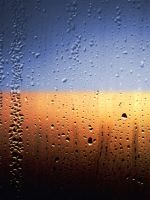 Window Rain