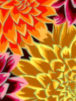 Flower Paint