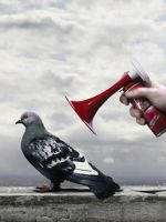Pigeon Scare