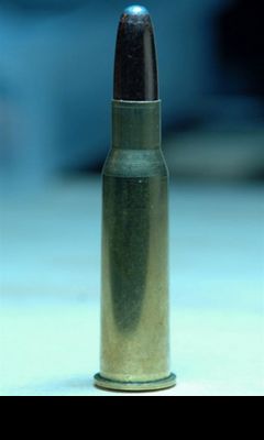 Gun Bullet