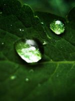 Droplet