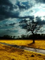 Dusk Tree