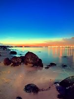 Distant Lights