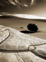Desert