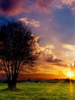 Sunset Spring