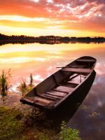Boat on Shore