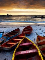 Boats on Shore