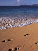 Beach Footprin...