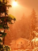 Winter Sunlight