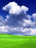 Green Grass