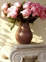 Flower on Vase