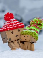 Danbo winter