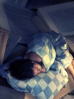 Reading-And-Dreaming