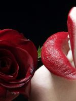 Red-Rose-Red-Lips