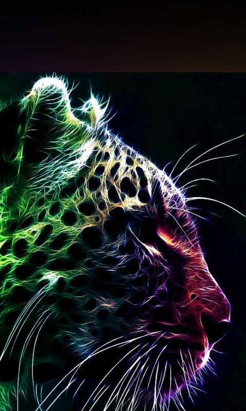 Animals