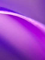 Abstract