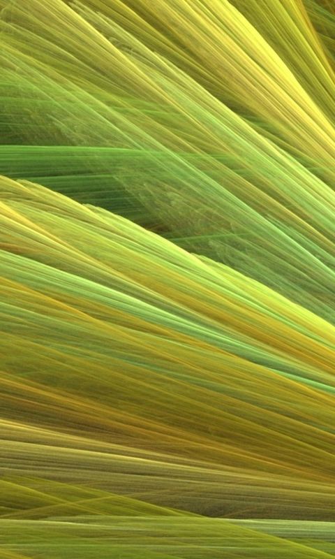 Abstract