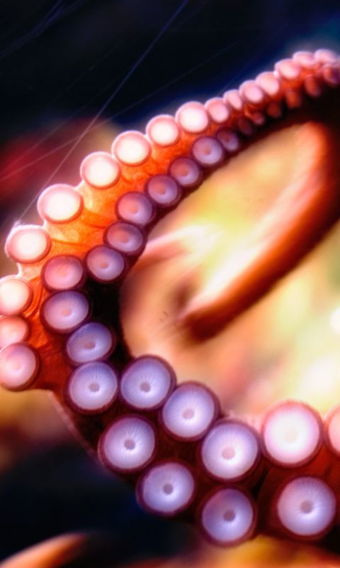 Abstract