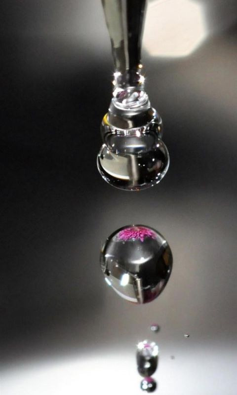 Grey Drop