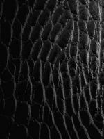 Abstract