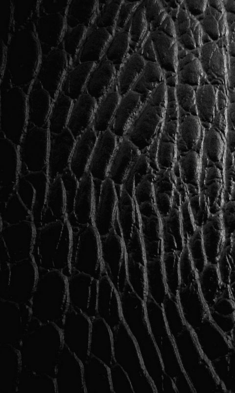 Abstract