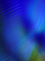 Abstract
