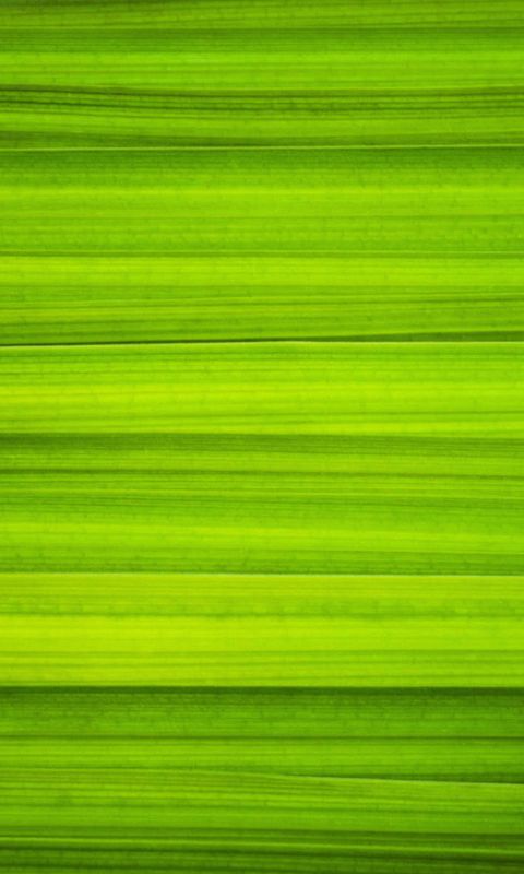 Abstract