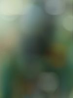 Abstract