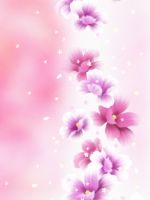 Pink flowers
