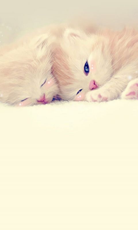 Animals