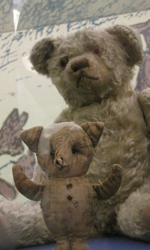 Animals