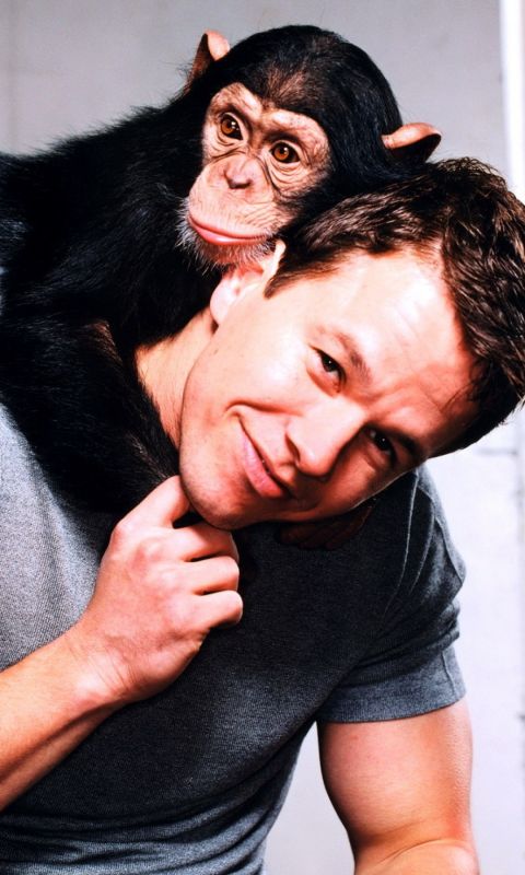 Mark Wahlberg Wallpaper
