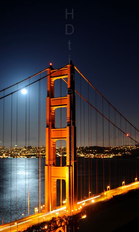HDtimelapse Net City      Vertical