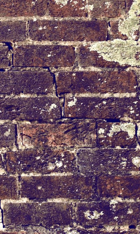 Old bricks texture