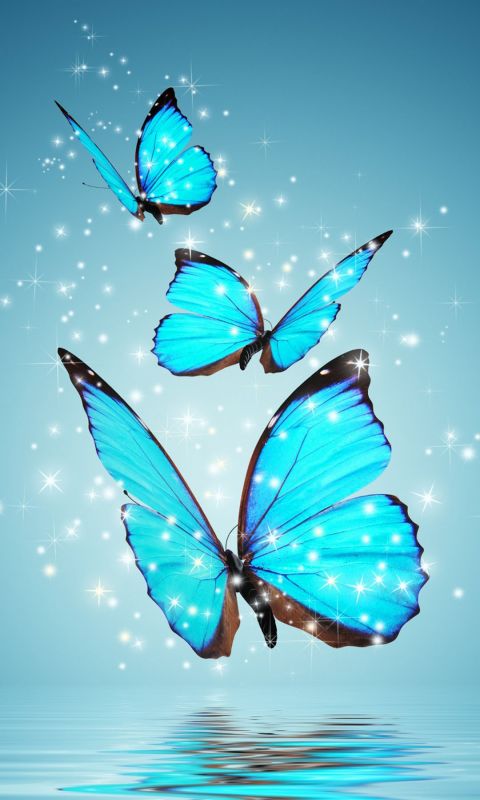 Blue Butterflies