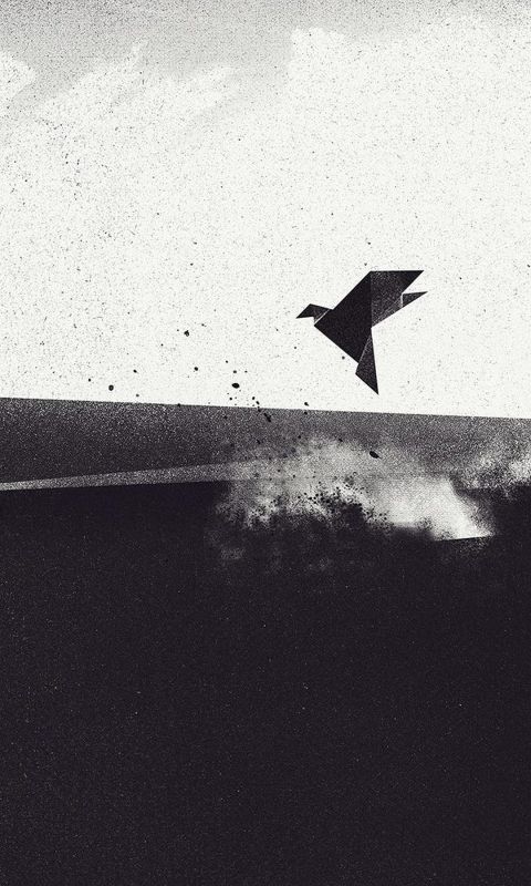 Paper pigeon Landing