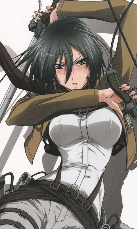 Shingeki No Kyojin Mikasa Ackerman